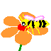 HoaBuom