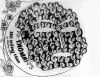 11c-nk72-73.jpg