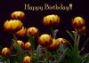 HappyBD37a.jpg