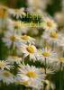 HappyBD9a.jpg